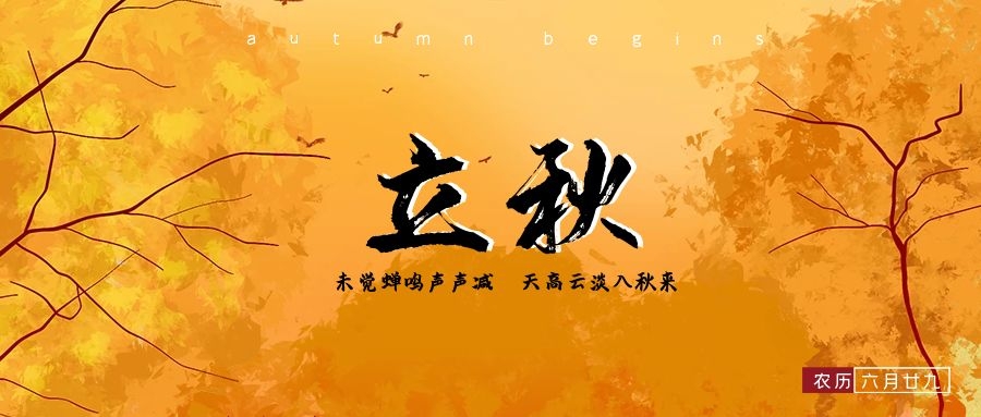 立秋|晴照穿綠枝，不知秋將至